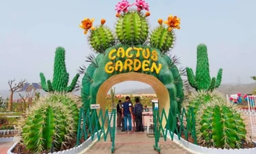 21 cactus garden