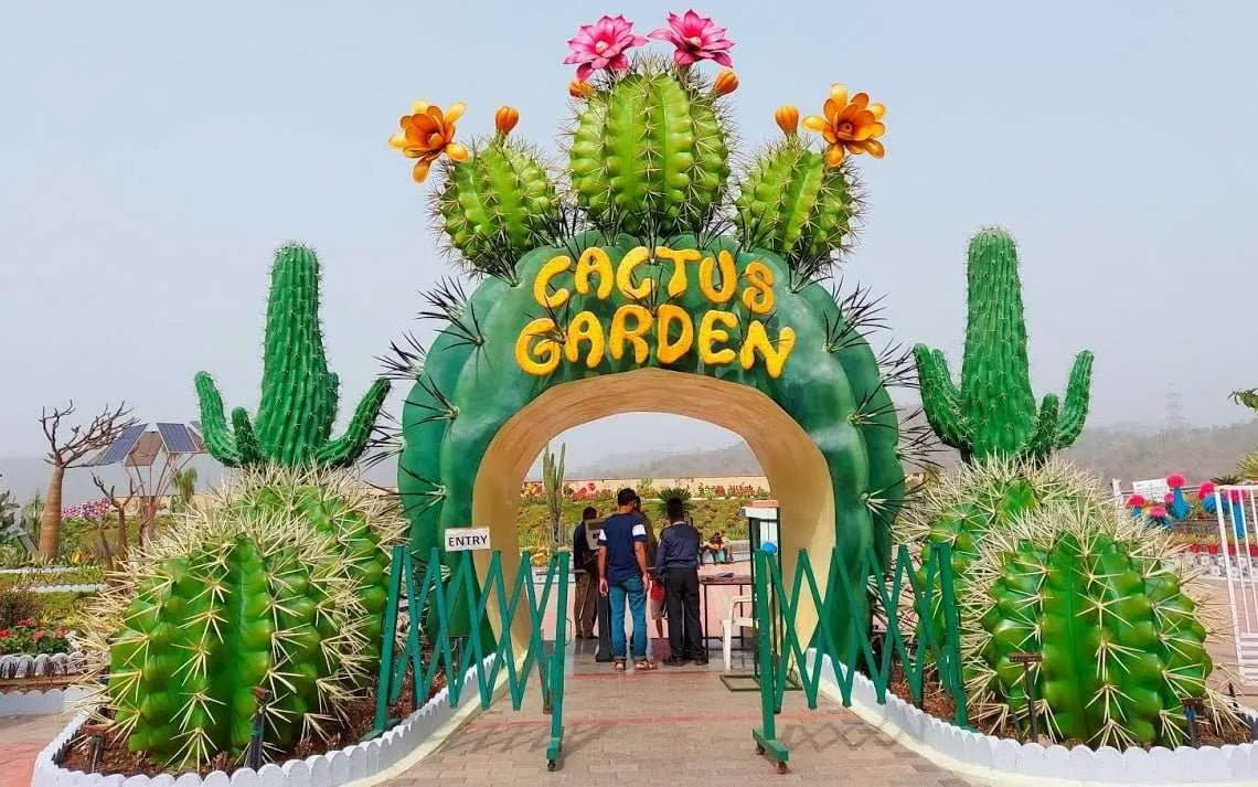 21 cactus garden